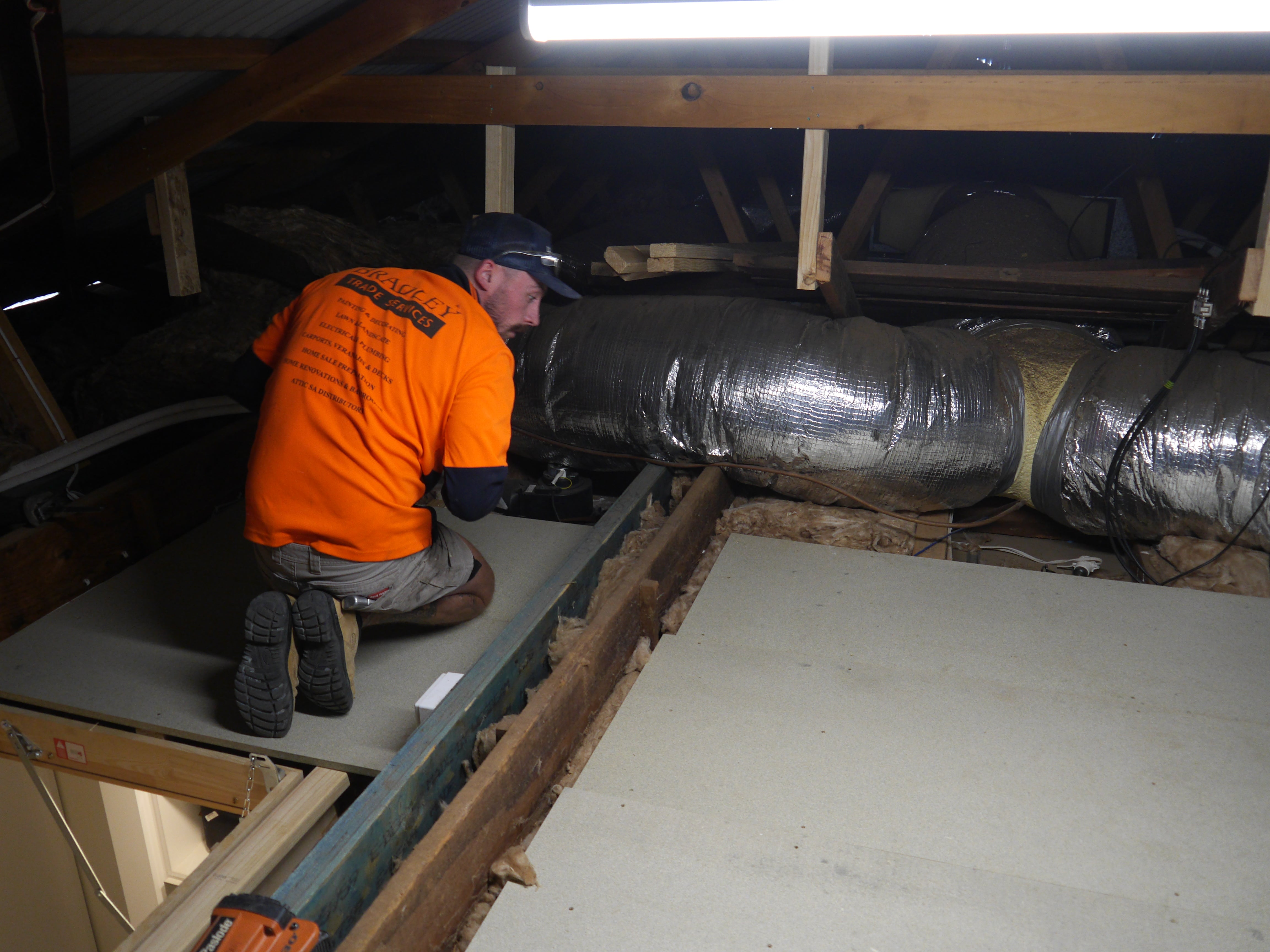 Basic Attic Storage